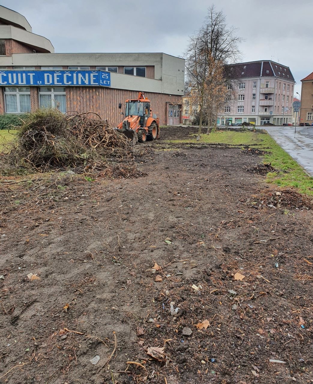 Stav po vykácení keřů